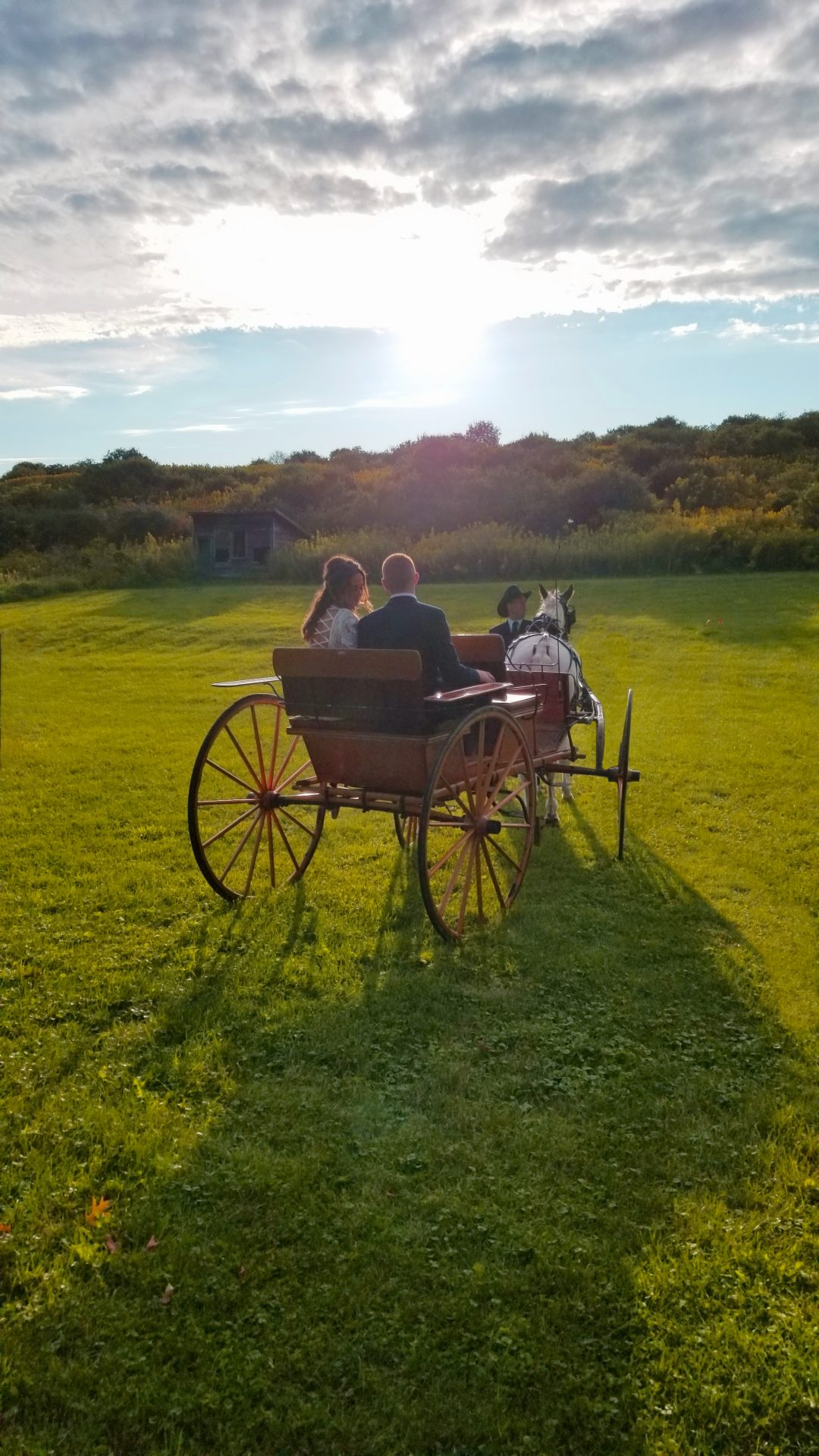 Bride and Groom, Horse and Carriage Into The Sun