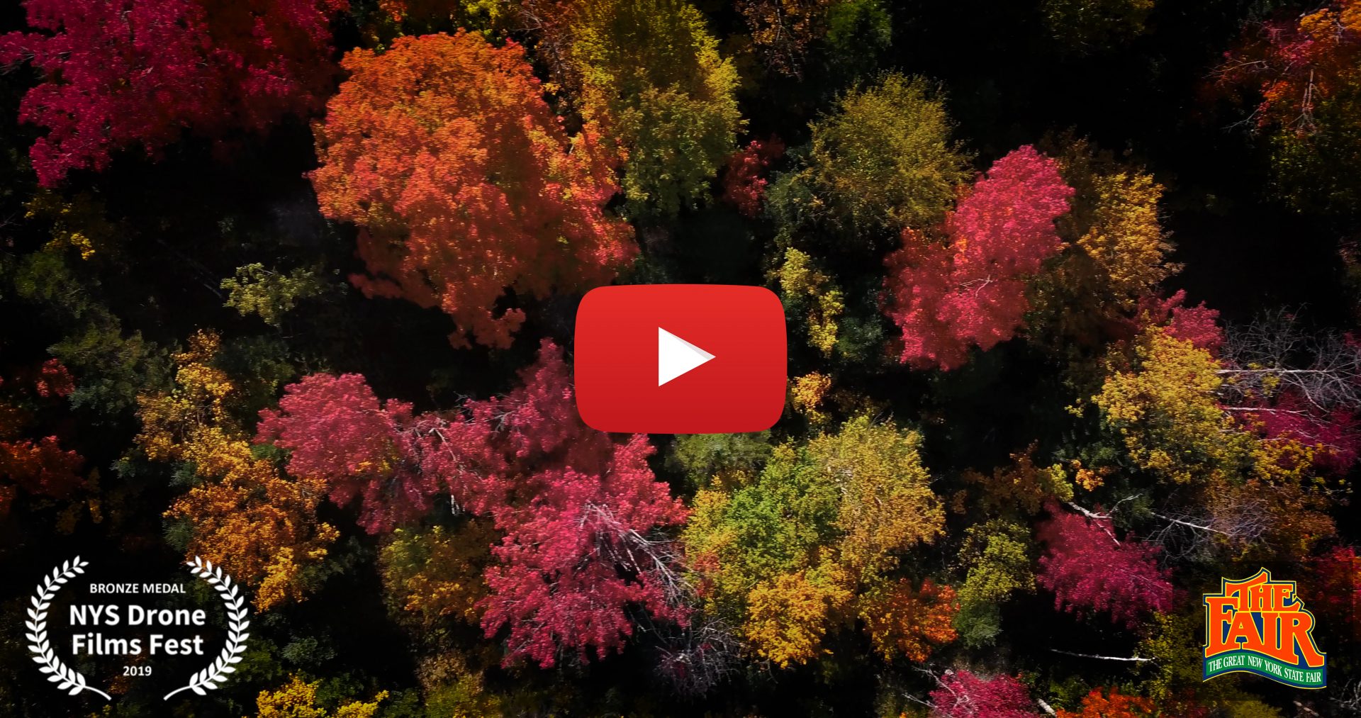 Fall Foliage Video