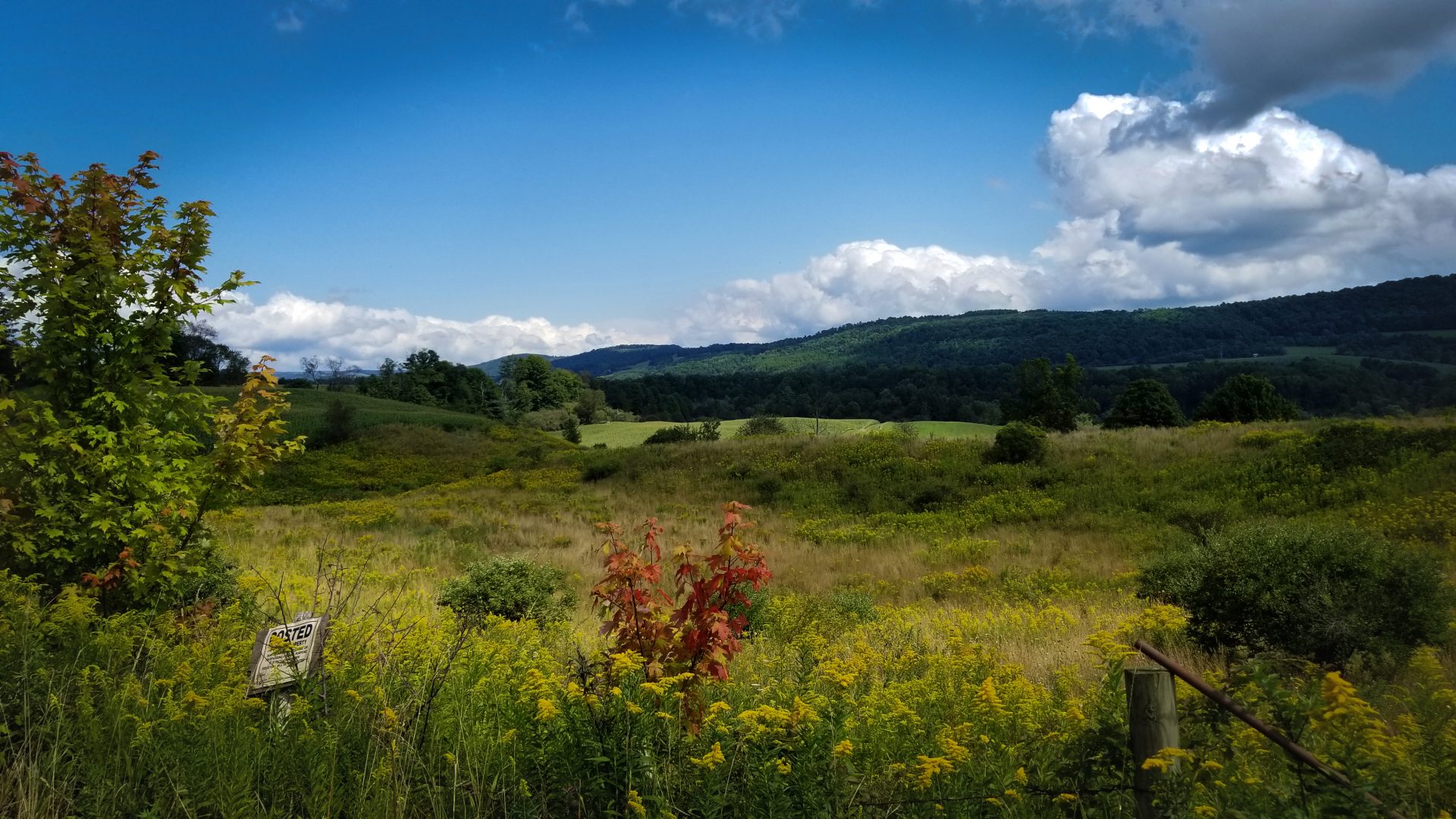 Farm Field Backdrop